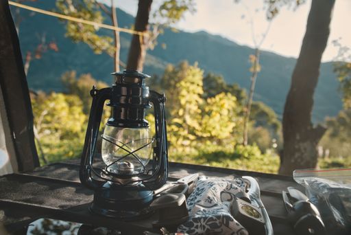 A vintage-style lantern on a bench amongst the foliage of a tree in a peaceful outdoor setting