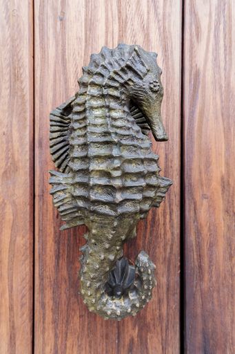 A vertical shot of a doorknob with a seahorse carving on a wooden door