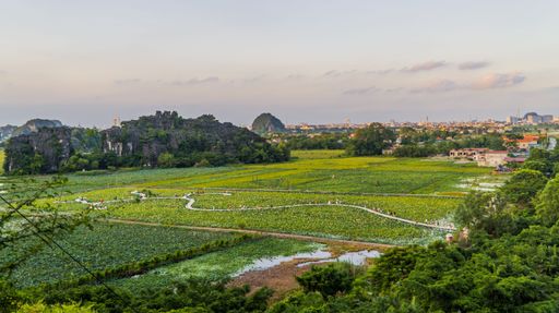 An aerial view of the lotus fields in Ninh Binh from Hang Mua viewpoint at sunset in Vietnam