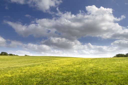 A beautiful and large green field under the white fluffy clouds during daylight