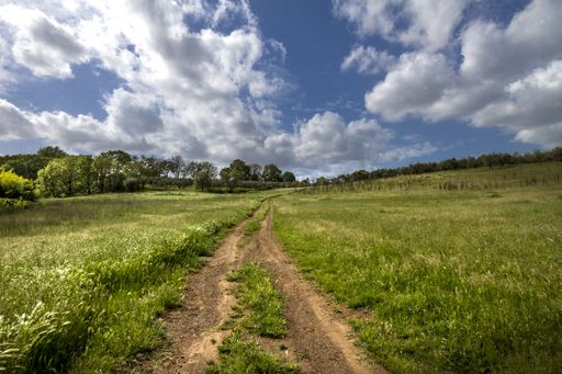 A dirt road in a beautiful and large green field under the white fluffy clouds during daylight