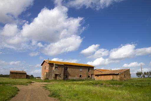 An old abando house in a large green field during daylight