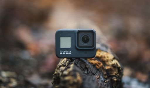 GoPro was mounted on a tree. Winterly autumnal forest in Europe. Action cam in use