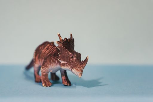 A closeup shot of a brown toy Triceratops isolated on a grey background