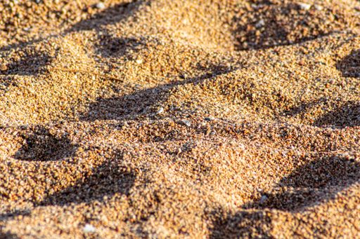 A closeup of the golden grains of sand, outdoors under the sunlight