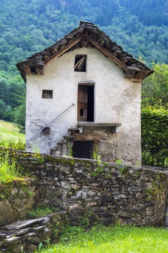 A vertical shot of an old white house with a wooden roof isolated in a green forest