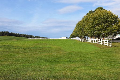 A landscape of a farm field covered in greenery under a blue cloudy sky