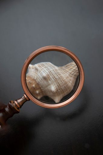 A vertical shot of a magnifying glass inspecting a sea shell