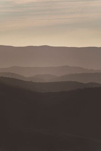 A vertical shot of a beautiful forest near the mountains in Cadiz, Spain