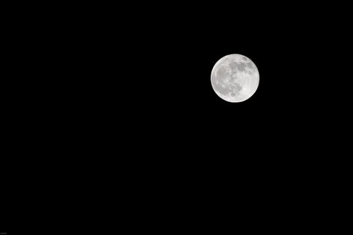 A low angle shot of the magnificent full moon in the night sky