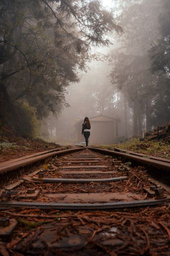 A vertical shot of a person walking on old train tracks in a forest in Alishan, Taiwan