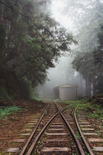A vertical shot of old train tracks in a forest in Alishan, Taiwan