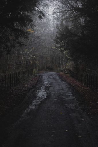 A winding road in a dark and foggy forest at night, illuminated by a faint light