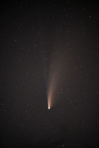 The bright Comet Neowise shining in the starry night sky - great for wallpapers