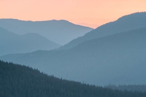A beautiful scenery of sunset in the Mount Rainier National Park in the USA