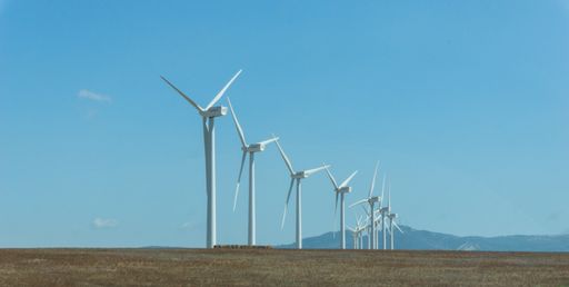A wide shot of the windmills on a farm under the clear blue sk
