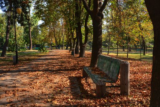 A beautiful view of an autumn park with a green bench and trees