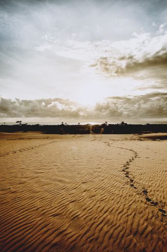 A vertical shot of the sand on the beach. Wavelike shape on the sand from the wind under