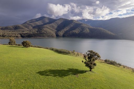 Side-lit tree in a green field with lake, mountains and storm clouds