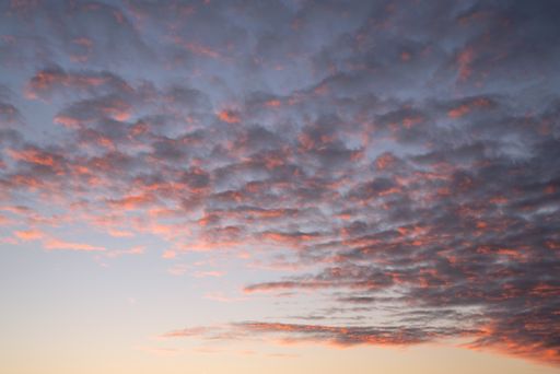 A beautiful view of the fluffy pink clouds in the sky - great for wallpapers