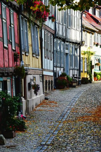 A vertical shot of the colorful buildings by a narrow paved street