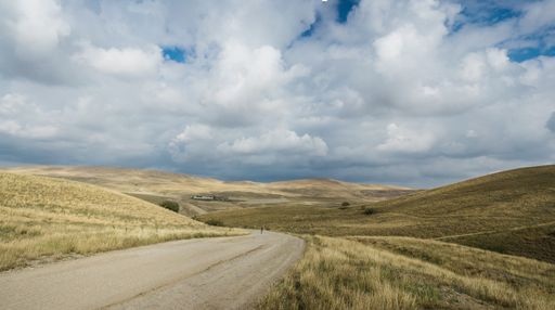 The dirt road from David Gareja monastery to Udabno, Georgia.
