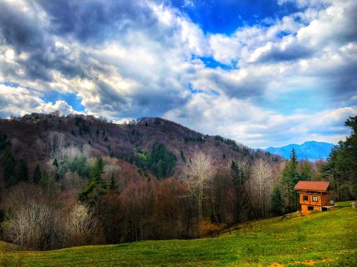 A small wooden cabin on a hill covered in trees under a blue cloudy sky in autumn