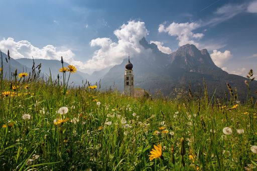 A meadow flower field with an old church seen in far against the blue sky with clouds