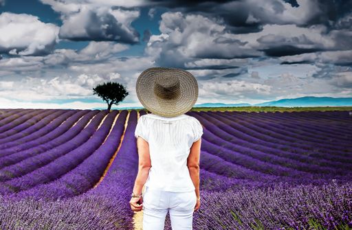 A shallow focus of a female with a sun hat on standing in a lavender field under a stormy sky