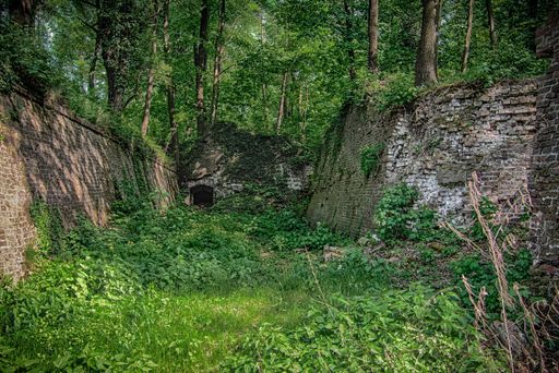 A garden covered in greenery surrounded by the walls of an aged ruined building