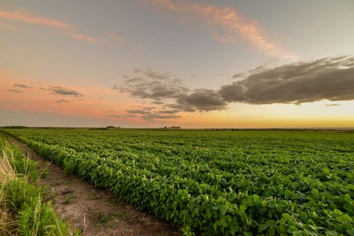 A beautiful dramatic cloudscape over a cultivated agricultural field in Uruguay, Juan Lacaze, Colonia