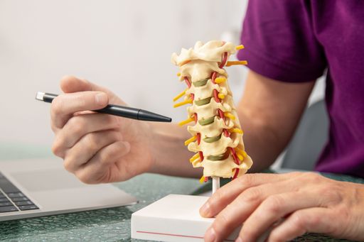 An Osteopath explaining the function of the intervertebral discs on a model of the spine