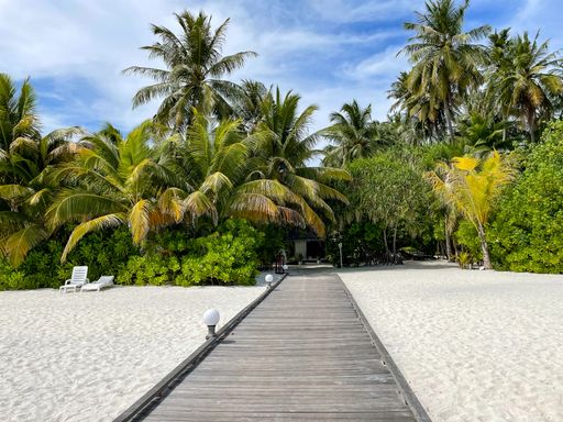 A wooden pathway surrounded by evergreen trees on a sandy beach in Maldives