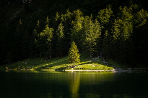A breathtaking view of evergreen mountains with lush trees surrounding a tranquil lake