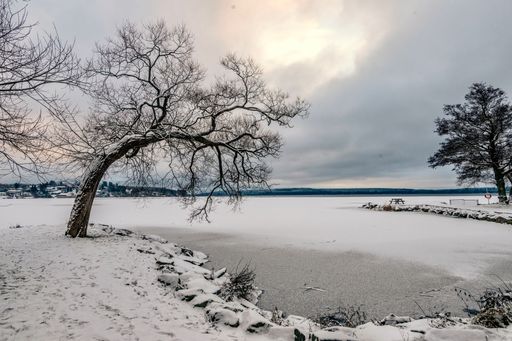 A tranquil winter scene featuring a frozen lake surrounded by evergreen trees