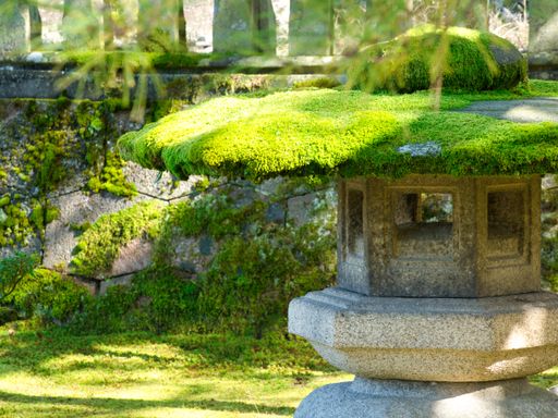 A garden with a stone building covered in mosses surrounded by greenery under sunlight