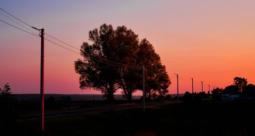 A scenic view of the colorful sunset with two trees standing by the side of a road