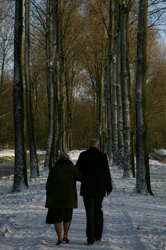 A vertical shot of a couple on a snow-covered walking road  in winter surrounded by tall trees