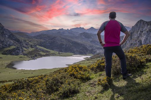 A back view of a young adventurous male looking at the Lake Ercina gleaming under the pink clouds