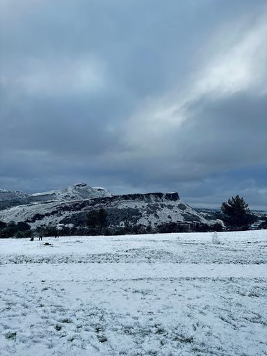 A vertical shot of a field cover with snow in Edinburgh, United Kingdom