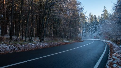 A beautiful shot of the highway through the forest covered with snow