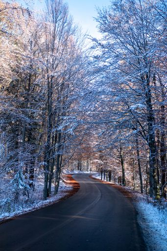 A vertical shot of the highway through the forest covered with snow
