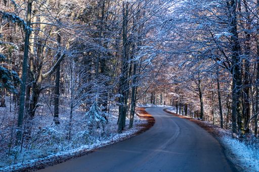A beautiful shot of the highway through the forest covered with snow