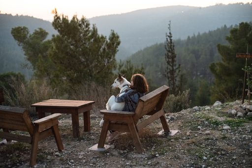 A girl sitting on a wooden bench holding a white dog surrounded by greenery and hills under sunlight