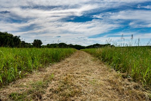 A path covered with dried grass through a field under a cloudy blue sky