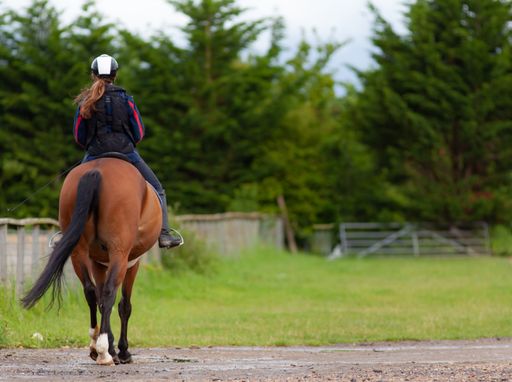 A selective focus shot of a young lady riding a beautiful brown horse
