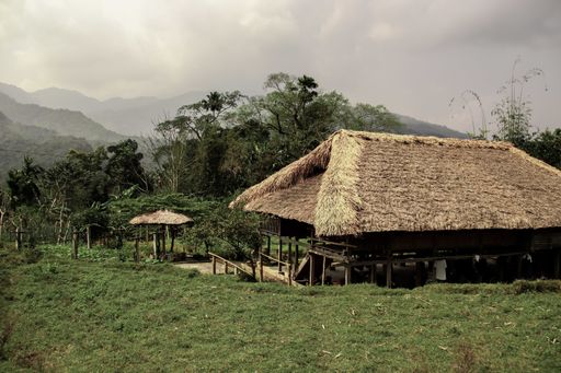 A traditional Asian thatched house on stilts at a rural landscape
