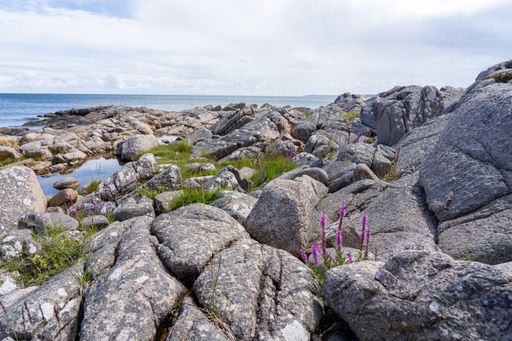 A beautiful shot of a rocky shore on the Hammerknuden Trail in Bornholm, Denmark