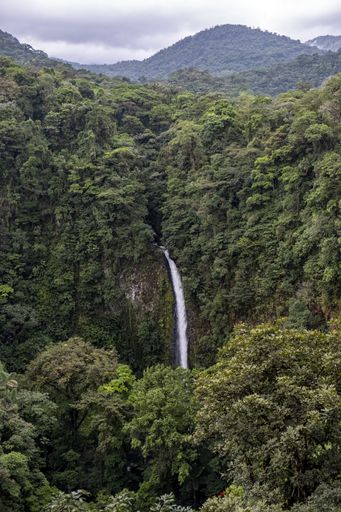 A vertical shot of a waterfall surrounded by green trees
