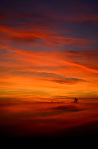 A vertical shot of a tranquil vibrant orange sunset in the sky
